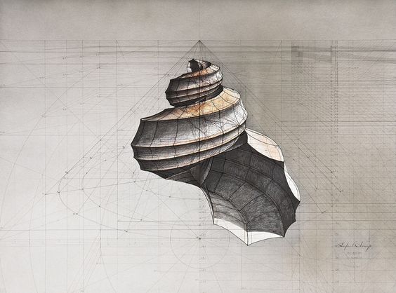 来自 委内瑞拉艺术家 rafael araujo 手绘作品一组.