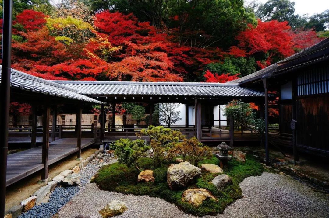 日本南禅院秋庭落叶日晖晖日本禅宗上院飞鸟时代