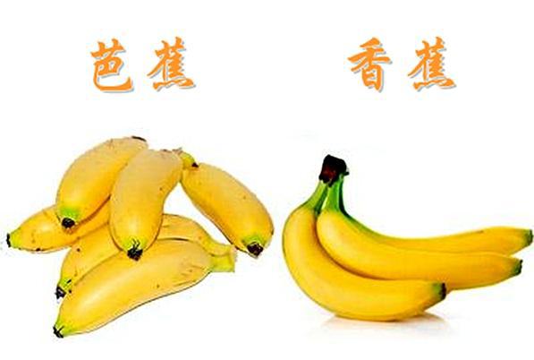 水果中的"孪生子",菠萝vs凤梨,芭蕉vs香蕉,哪一对难倒了你?