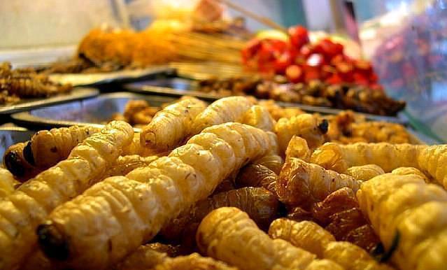 舌尖上的"癫疯":油焖的青蚕烤蝗虫的腿,嘴里的蠕动味道美