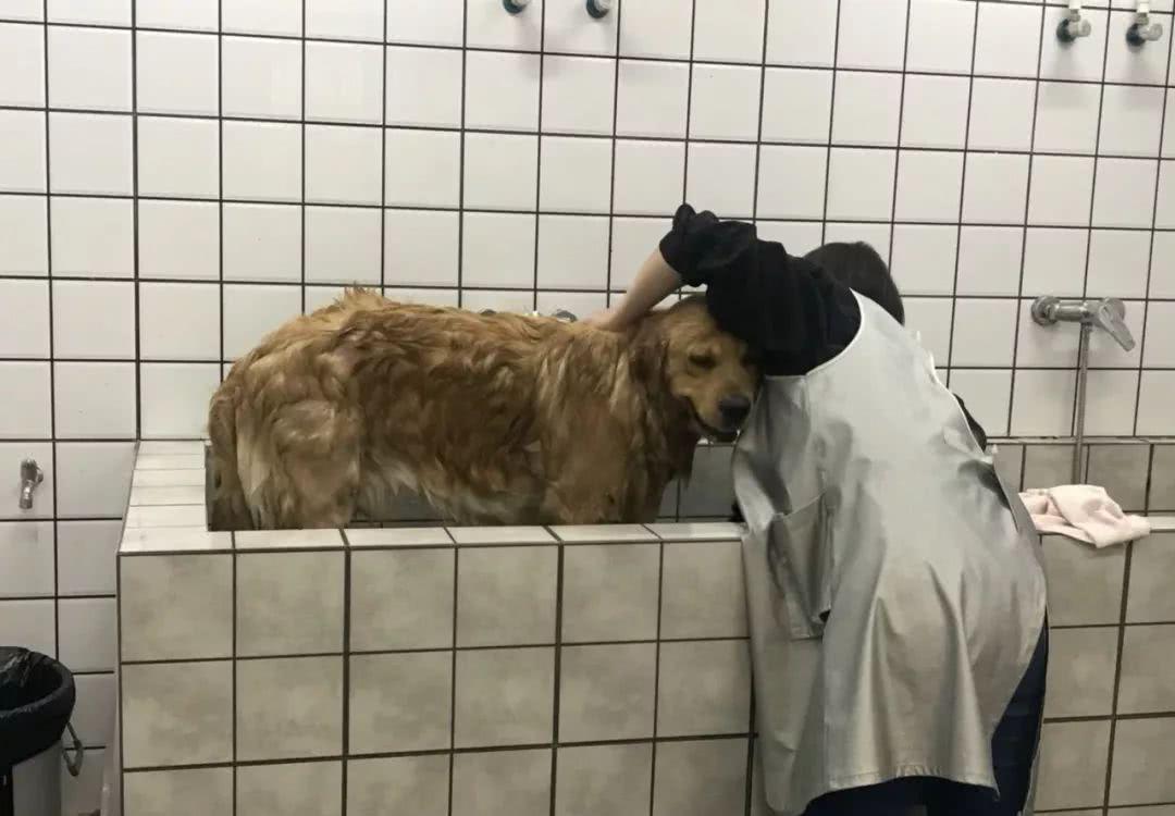 火锅会!|两个人|池子|鸡儿_新浪新闻