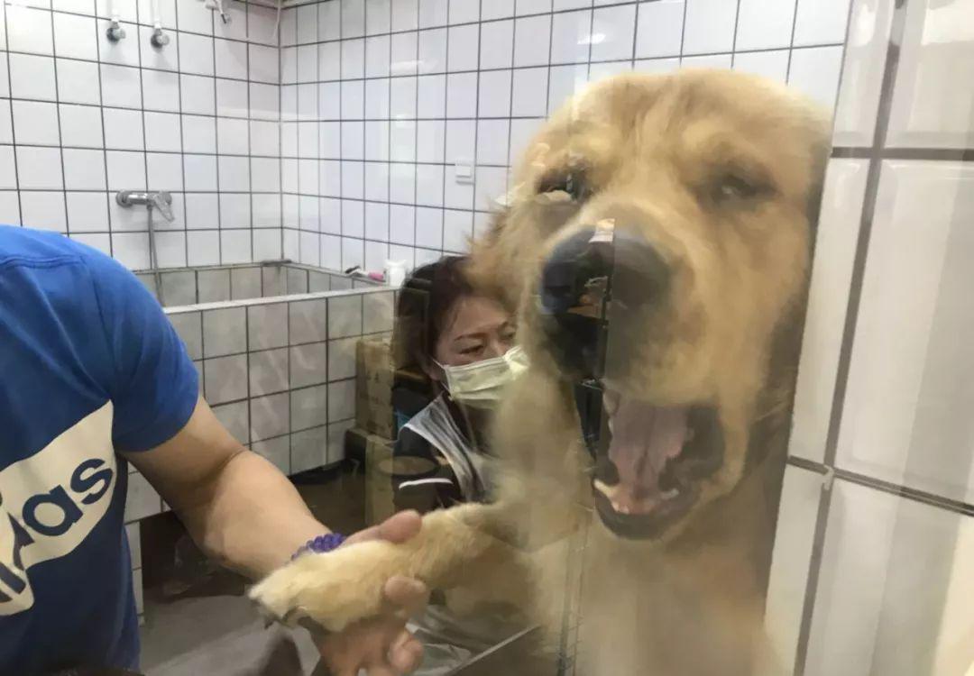 火锅会!|两个人|池子|鸡儿_新浪新闻