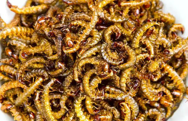 市面上卖的美食油炸蜈蚣吃起来安全么