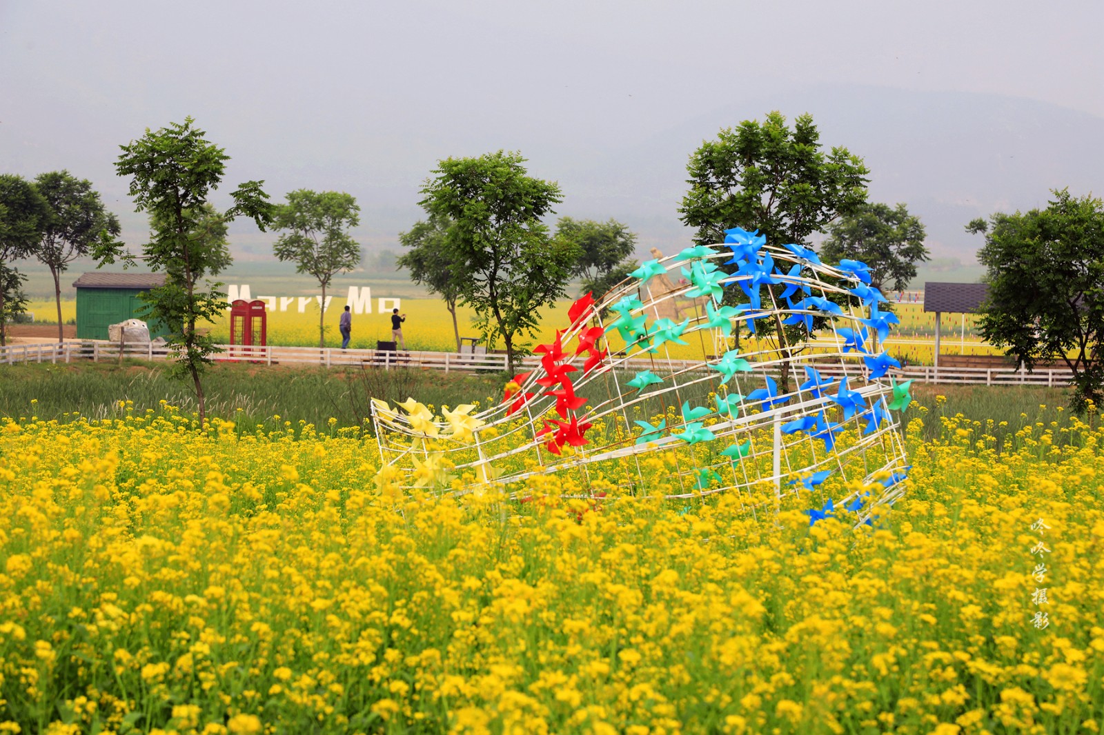 房山油菜花海正在盛开
