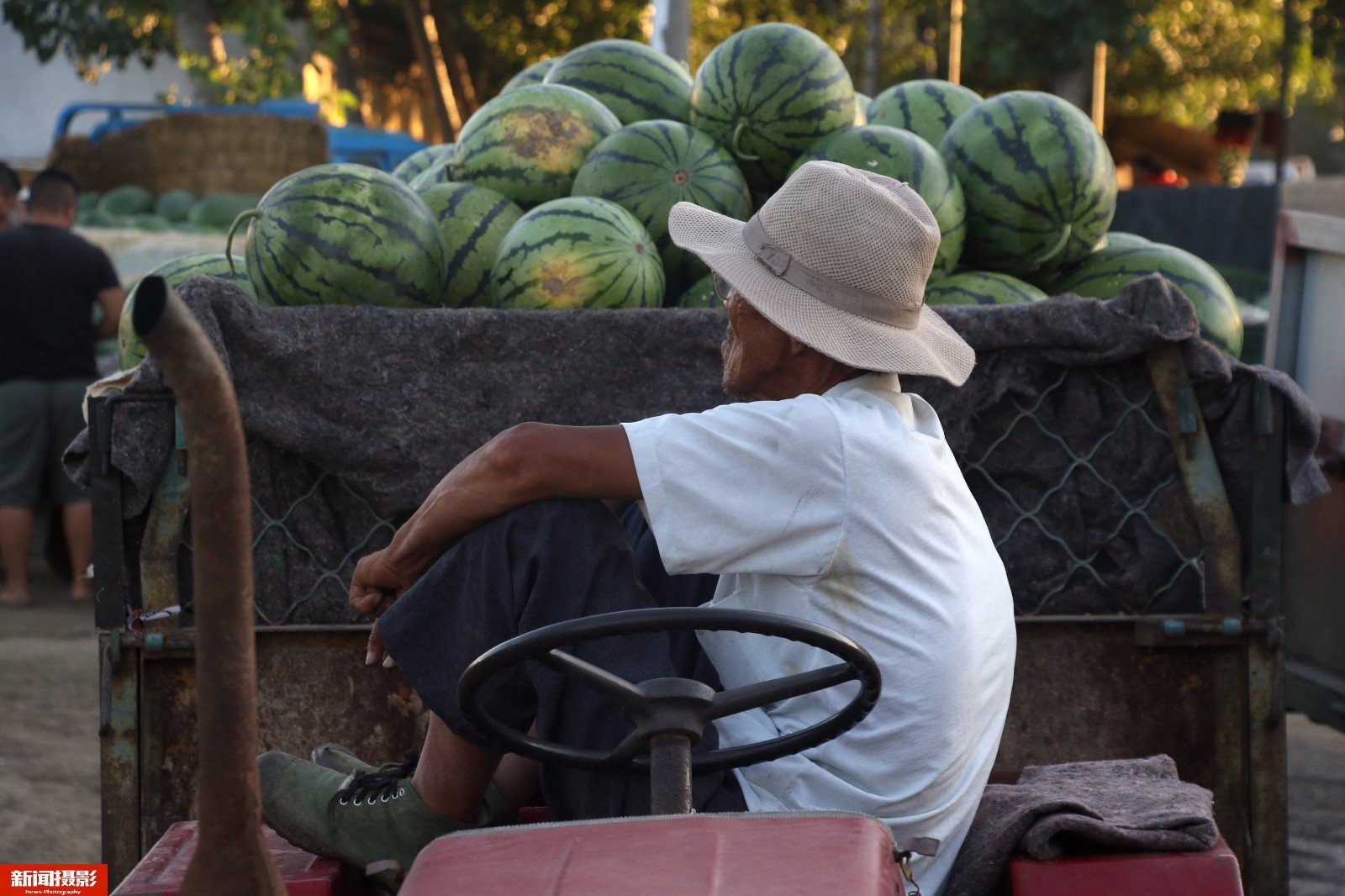 冰雹砸烂万斤熟透西瓜,损失六千元68岁老人疼哭了_新浪看点