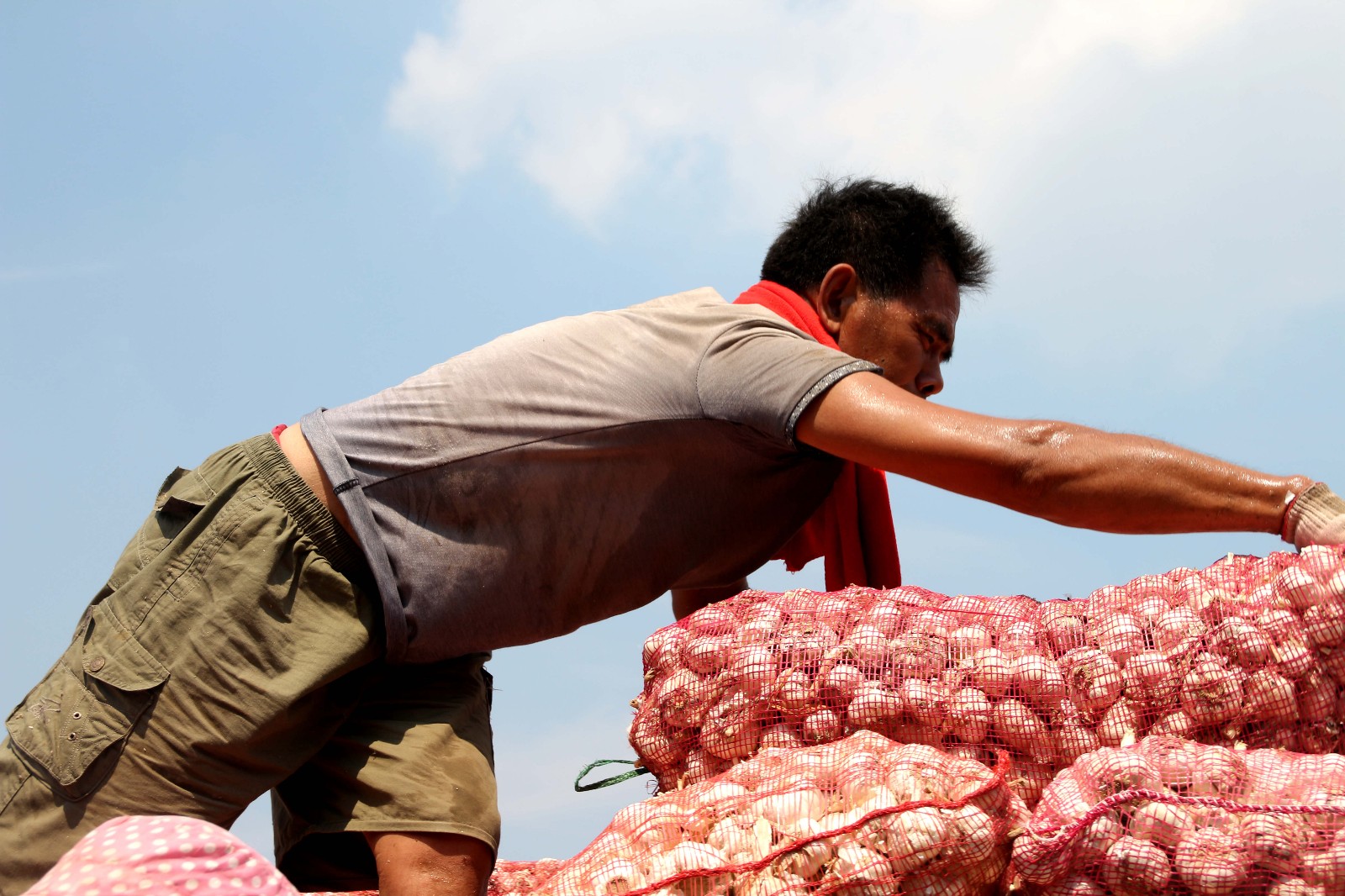 烈日下的大蒜装卸工从早干到晚汗水没停过一天赚300元