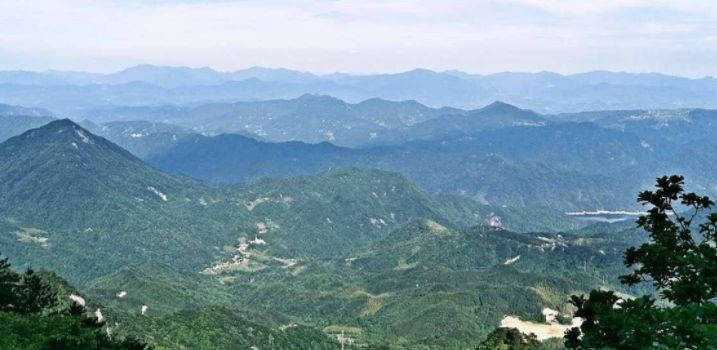 一个长期喝蜂蜜的人,后来竟然会变成这样?!