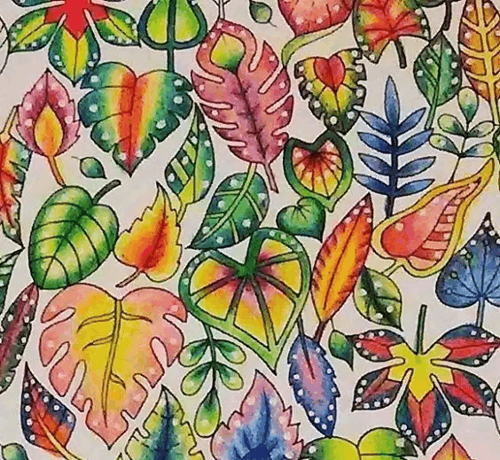 你为什么喜欢画彩铅只是因为她美吗