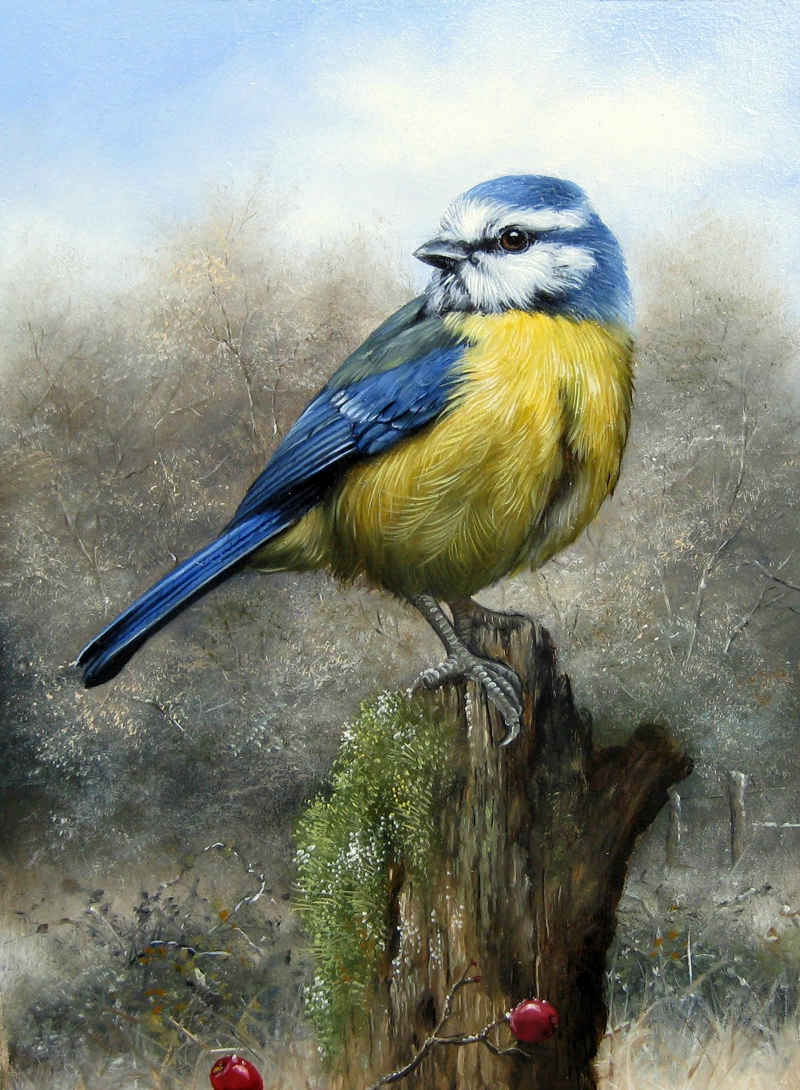 没想到这些栩栩如生的小动物是画出来的太美