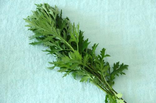 艾叶灰洗脸能治鸡皮肤吗(艾叶灰洗脸能治鸡皮肤吗怎么用) 艾叶灰洗脸能治鸡皮肤吗(艾叶灰洗脸能治鸡皮肤吗怎么用)