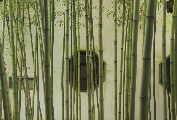 雅室书墨香,竹篁伴诗声.