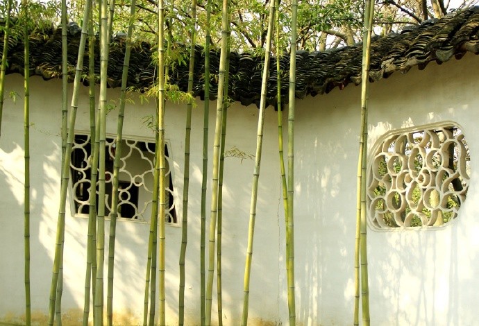 雅室书墨香,竹篁伴诗声.