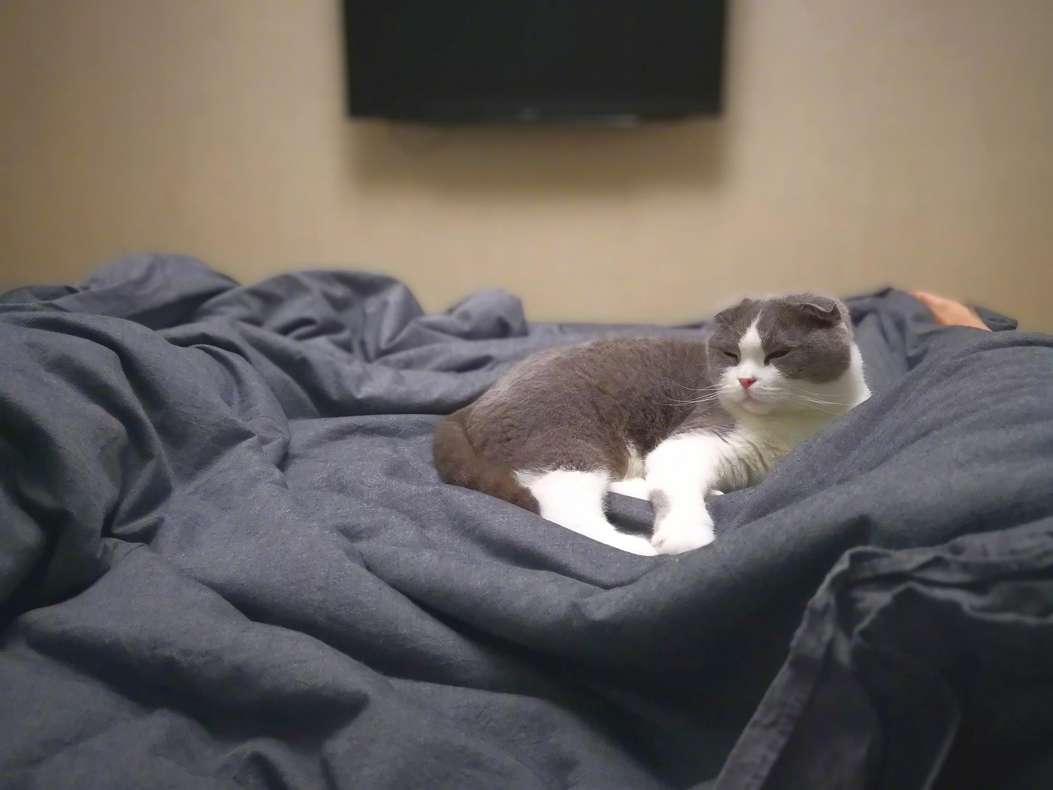 幸福就是在舒服的地方安心睡着.