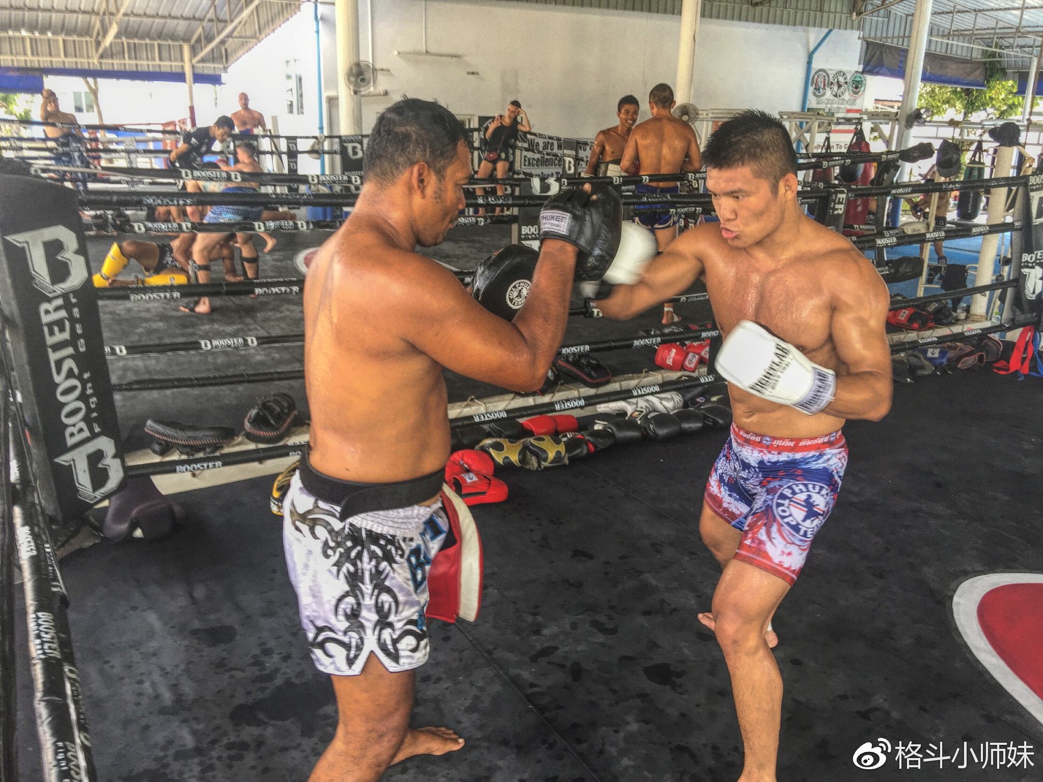 专访ufc选手刘平原