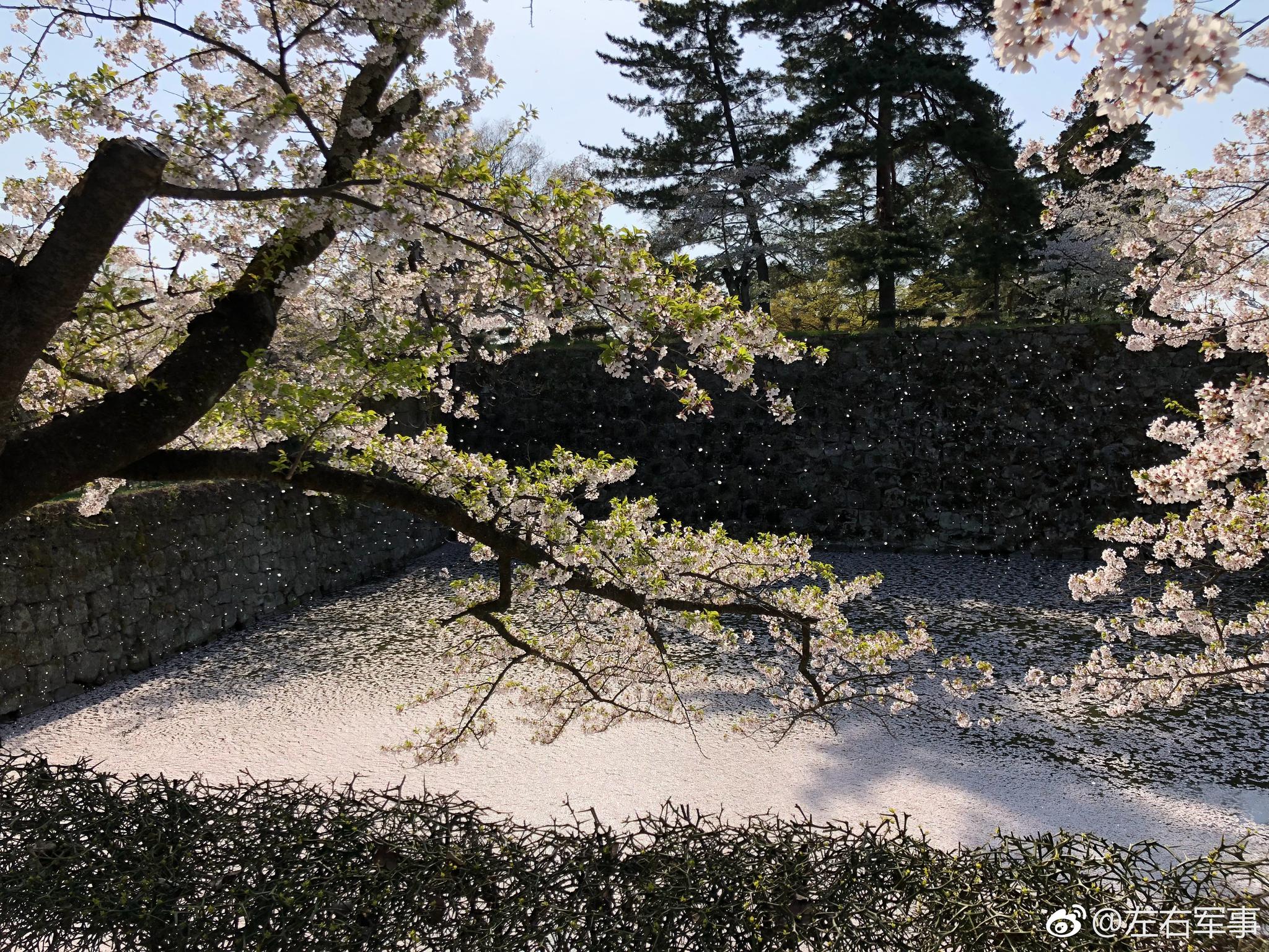 从天守阁眺望饭盛山,也就是白虎队少年
