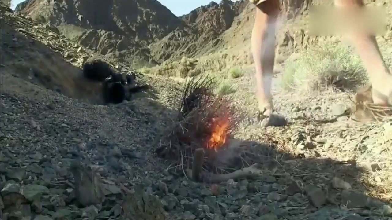 单挑荒野 德哥最后吃了顿烧烤大餐, 心情大好笑