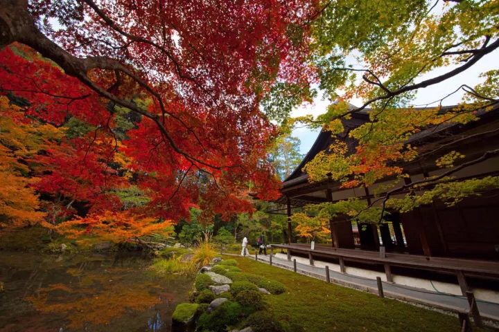 日本南禅院秋庭落叶日晖晖日本禅宗上院飞鸟时代