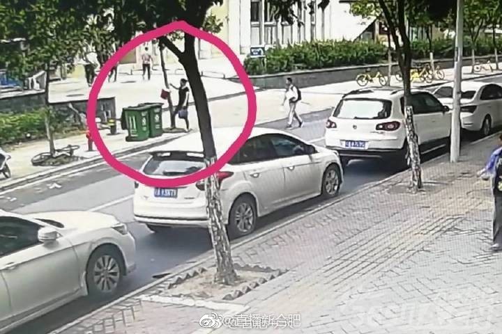 合肥"高铁扒门"女子为永红路小学教导处副主任 已停职检查