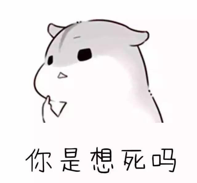 超萌仓鼠夫妻表情包!快来盗图!