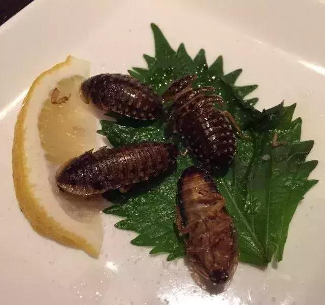 日本最奇葩的主题餐厅这些黑暗料理你敢挑战吗