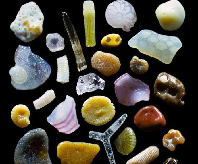 沙子放大300倍,原来是长这样|沙子|夏威夷海岸|形状_新浪新闻