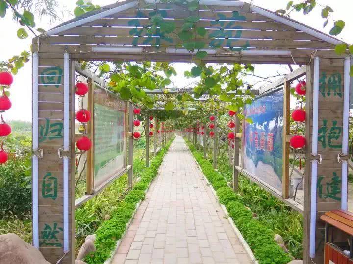那这6个农庄是不错的选择|春山|凤凰山|生态园_新浪新闻