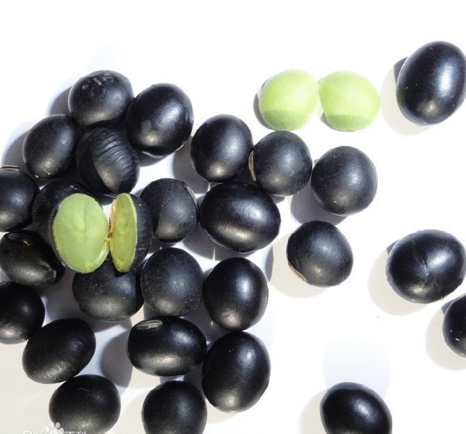 雄黑豆一斤豆子.黑豆,要选雄黑豆,黑豆紧小者,黄心者为雄.