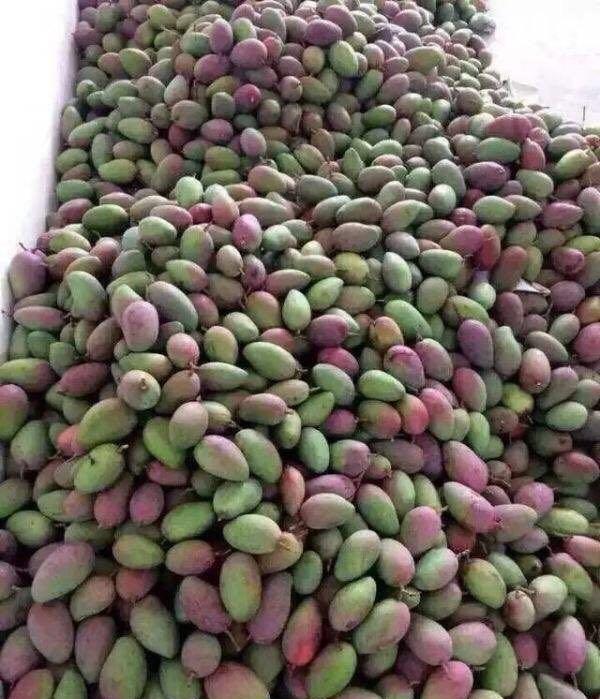 农村老太雨中卖自家"超大"果子, 别看不起, 其实小生意很赚钱!