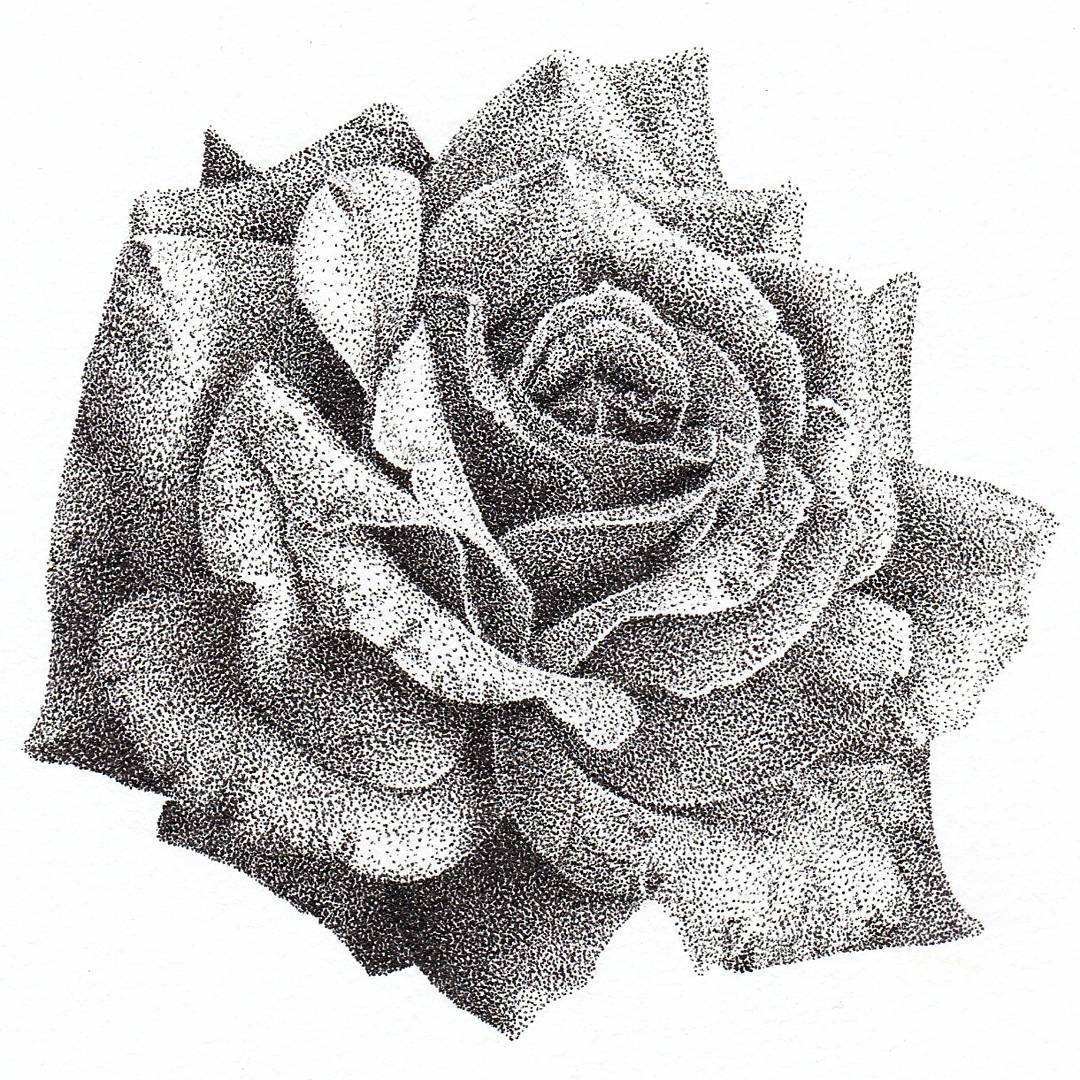 67ronja针管笔点绘作品展