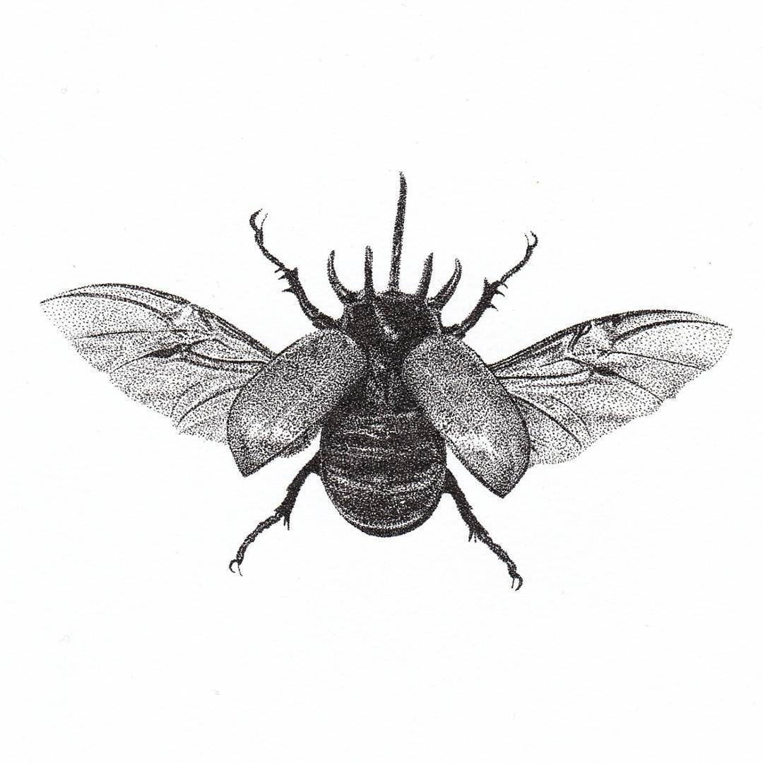 67ronja针管笔点绘作品展