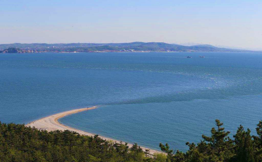 渤海证券交易软件下载