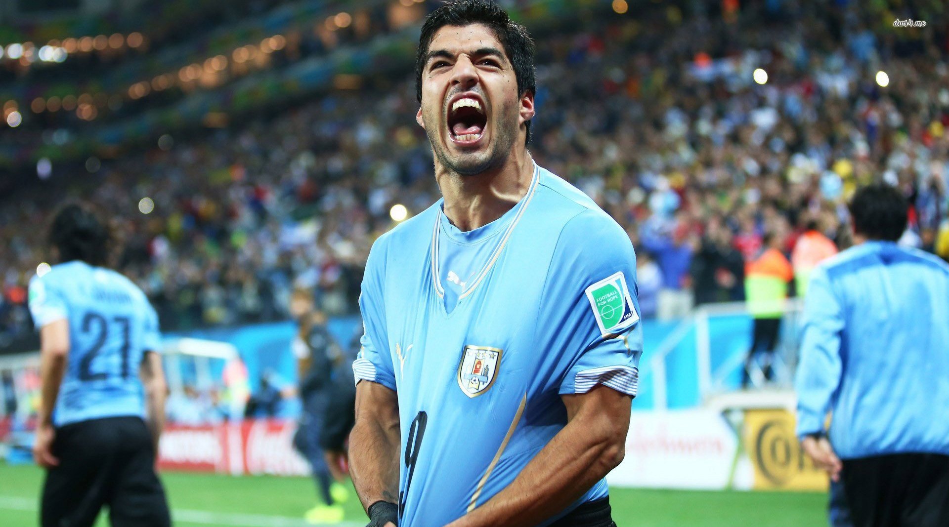 不是所有手球都叫苏亚雷斯,2010年南非世界杯