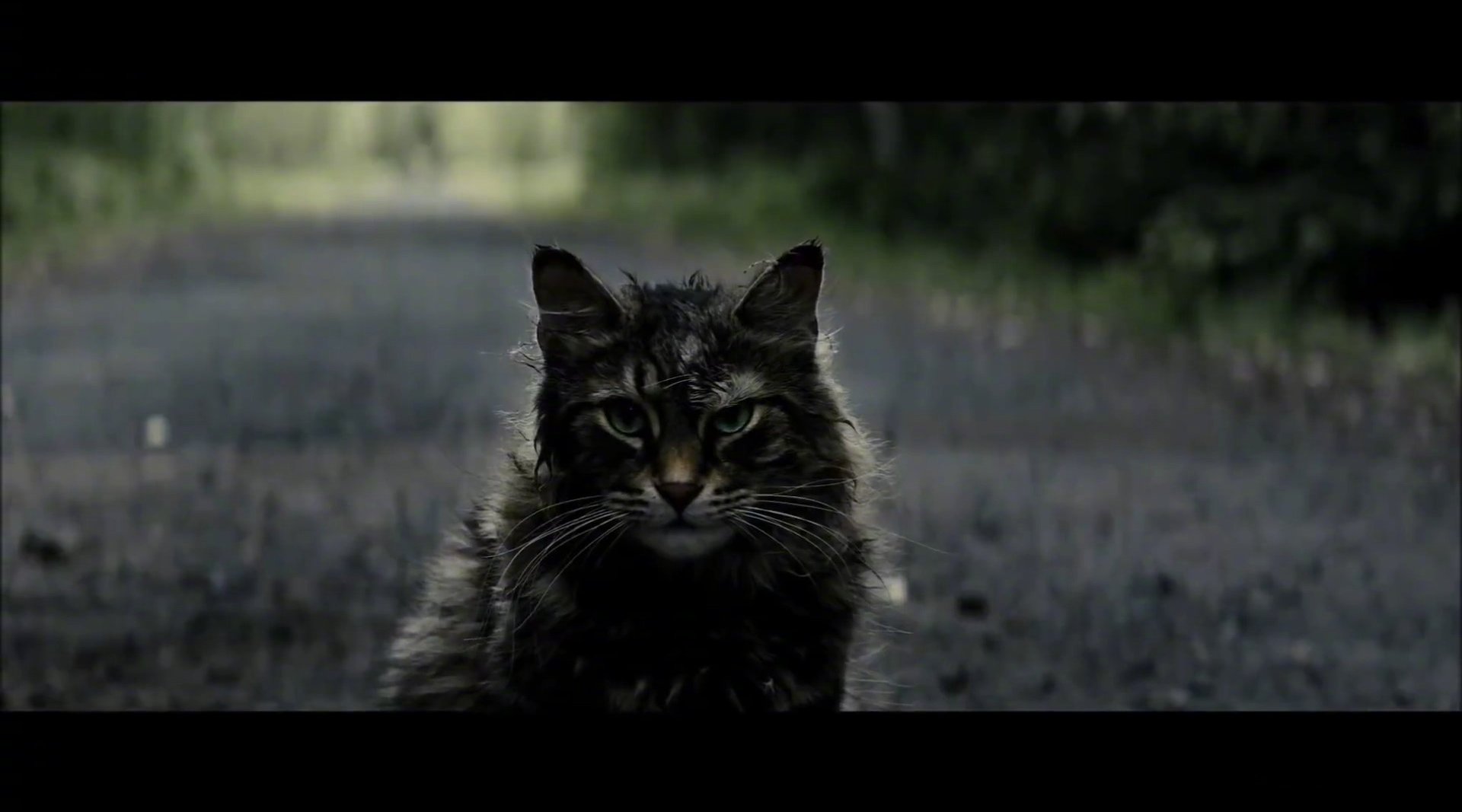 史蒂芬·金《宠物坟场》首发中字预告