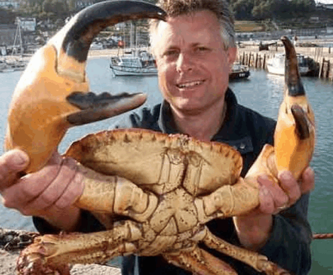 这么大的螃蟹, 专家称它的钳子可以把人的手剪断