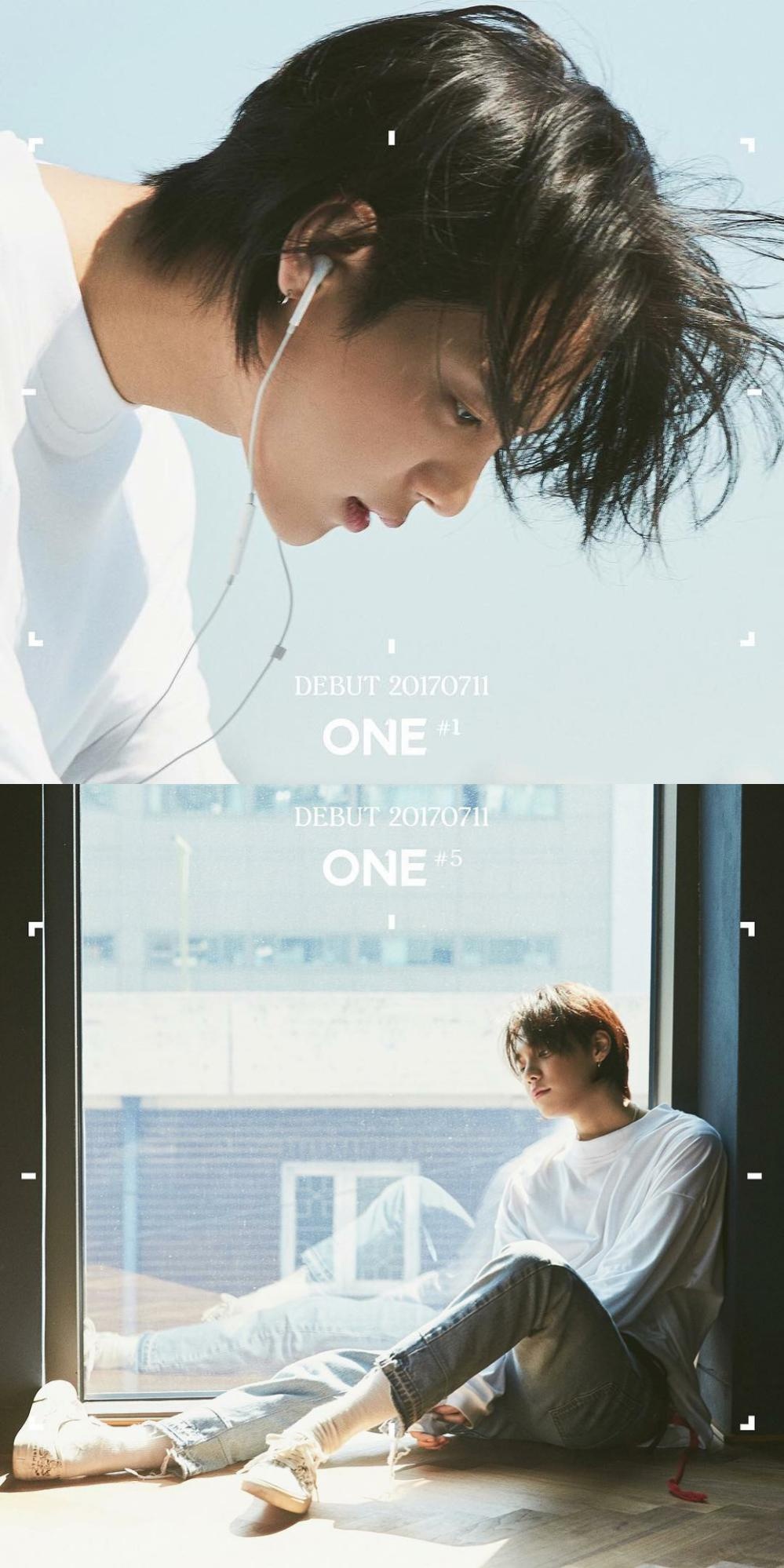 盐系少年郑帝元