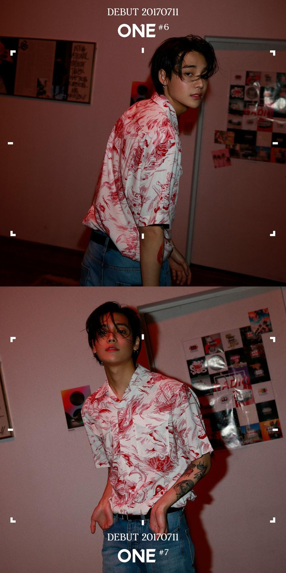 盐系少年郑帝元