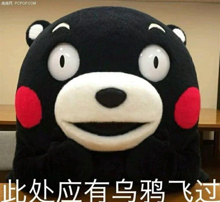温哥华留学生惨痛经历,留学不是来撒野,当心生活撒狗血!