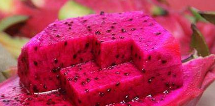 得知妈妈昨天给宝宝吃了大量的红心火龙果后,医生笑了,这不叫尿血,这