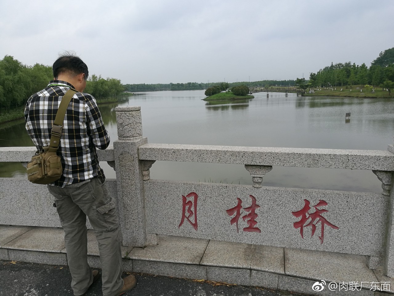 如皋的桥,月桂桥,位于长江镇长青沙岛药用植物园内,站在桥上