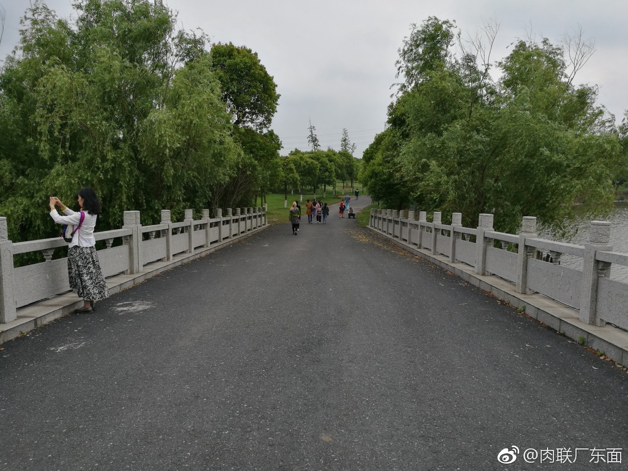 如皋的桥,月桂桥,位于长江镇长青沙岛药用植物园内,站在桥上