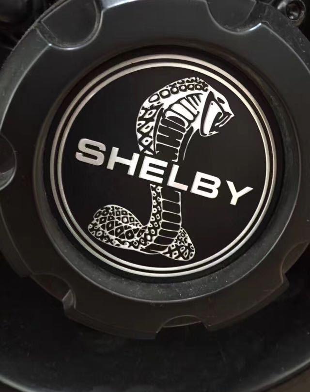 底盘除了升高强化处理,还加装了防撞护甲,保护车体免受异物撞击而受损