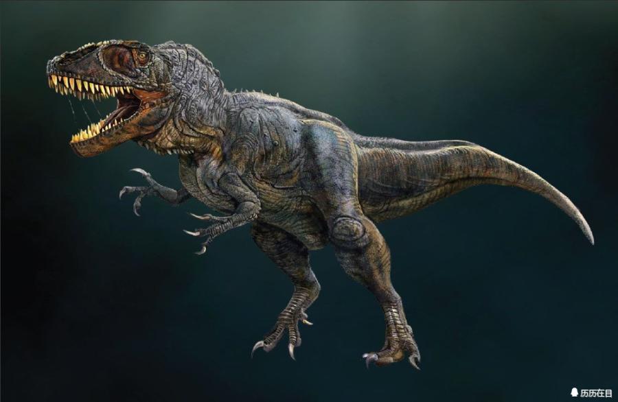 史前体型最大的十大肉食恐龙