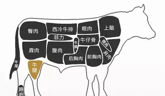 最常吃牛排部位及熟成度 |这两个词现在越来越多地出现在牛排的蝎传