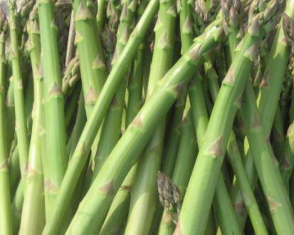 这种最省心的菜种下10年不死生命力极强15一斤却没人要