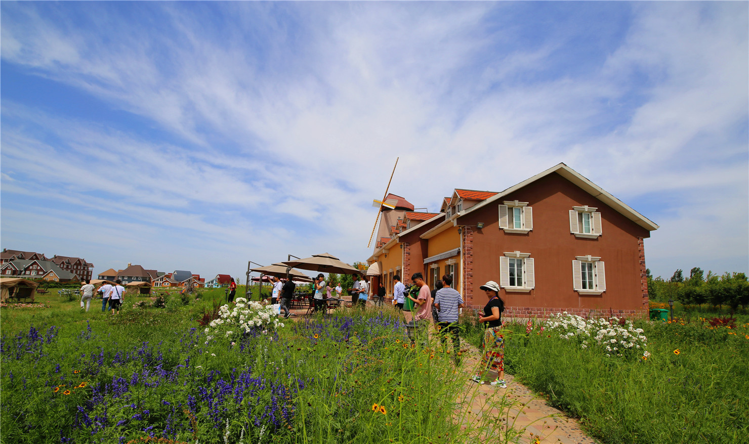 杨凌现代农庄:农的业观光休闲度假一体化发展