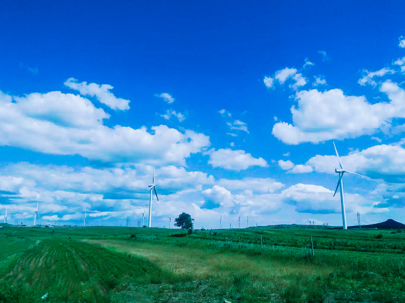 我见过最美的天空是张家口草原天路的天空那时候是盛夏天很蓝草很