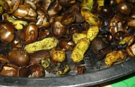 炉盖上烤杨拉罐,你吃过吗?比吃肉还香那味道没法比哈哈!