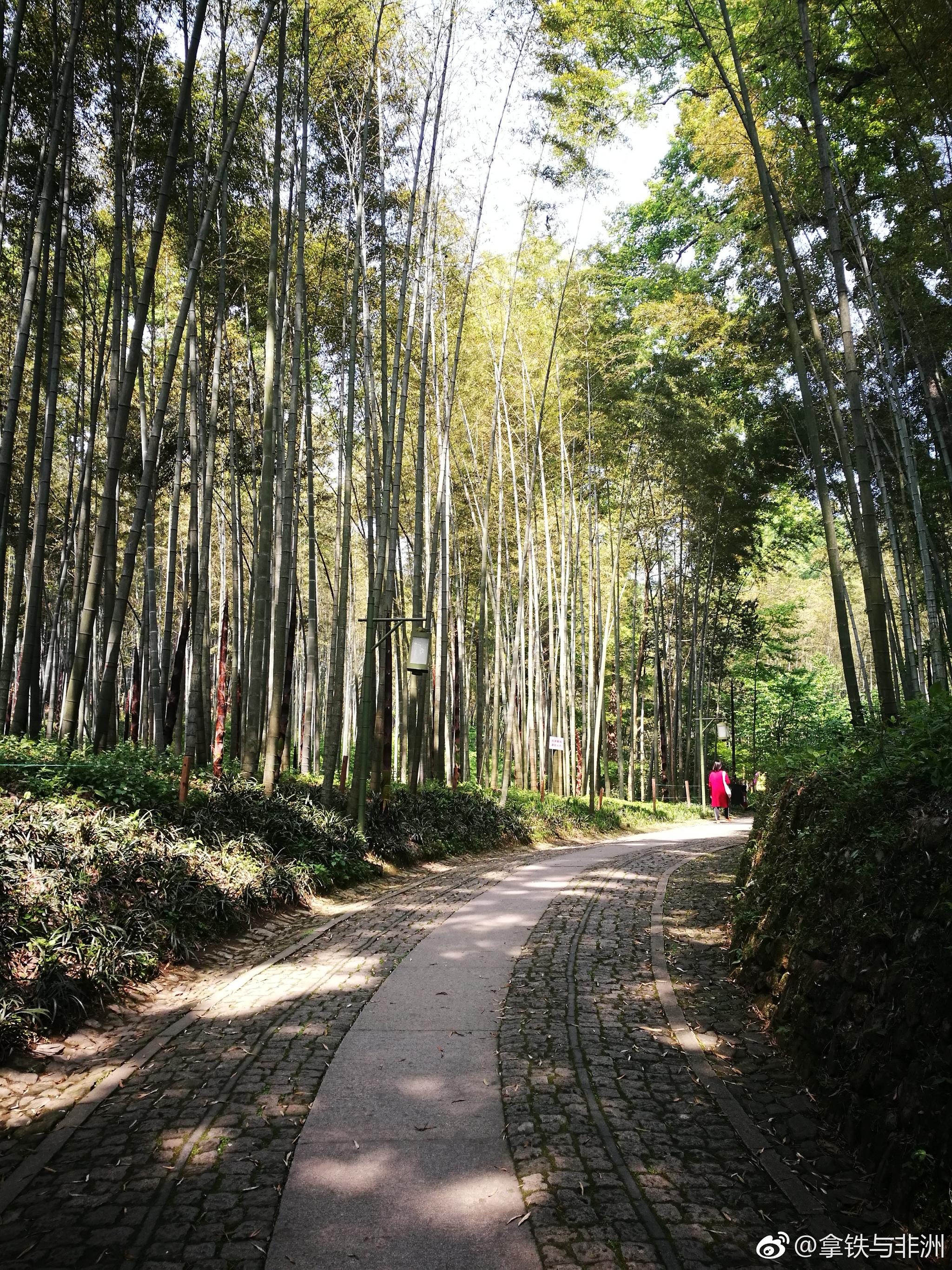 云栖竹径,新西湖十景之九.早在清代雍正时