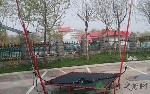 小孩蹦极对大脑的危害