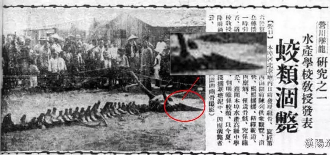 1937年营口坠龙事件到底是不是真的为什么当时的报纸都在报道